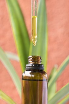 cbd olej